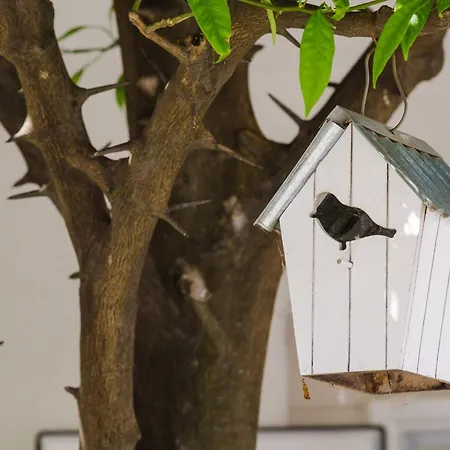 & Bari I - With Balcony And Garden View First Floor -apt 9 Apartament