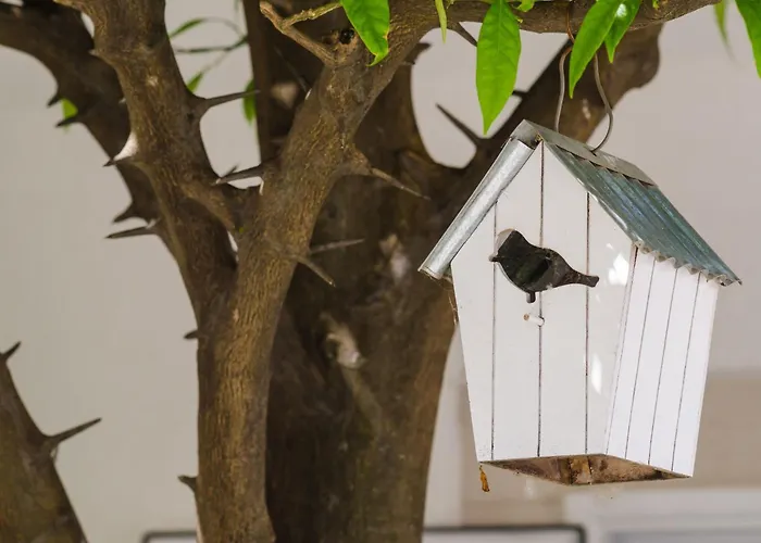 & Bari I - With Balcony And Garden View First Floor -apt 9 Apartament